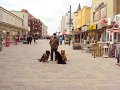 sylt (6)